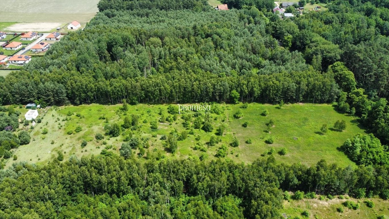 Działka inna na sprzedaż Ostrowina, Aleja Lipowa  3 371m2 Foto 10