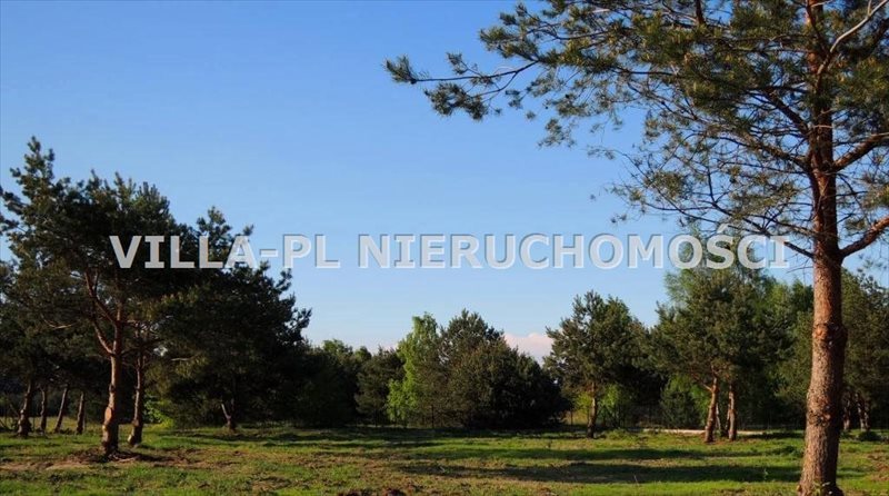 Działka inna na sprzedaż Rosanów 3 000m2 Foto 1 Działka inna na sprzedaż Rosanów 3 000m2 Foto 1