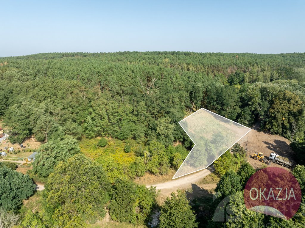 Działka inna na sprzedaż Stary Błeszyn  1 500m2 Foto 10