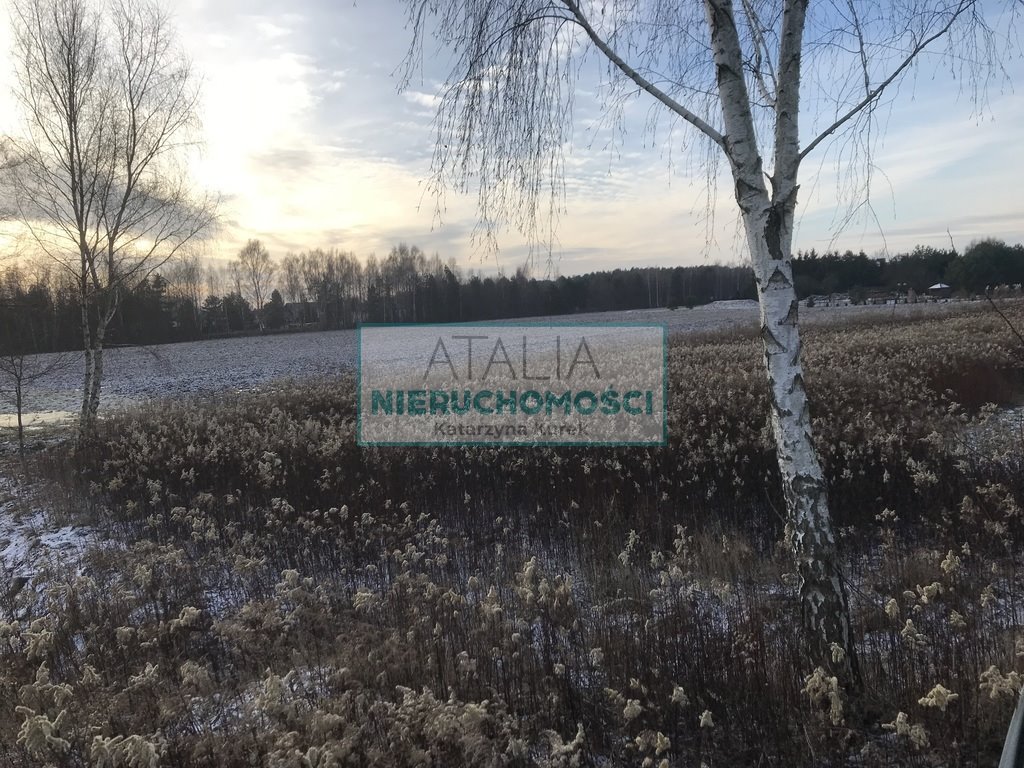 Działka 9830 m² z MPZP, media, podział - zapraszam Strzeniówka  9 830m2 Foto 1