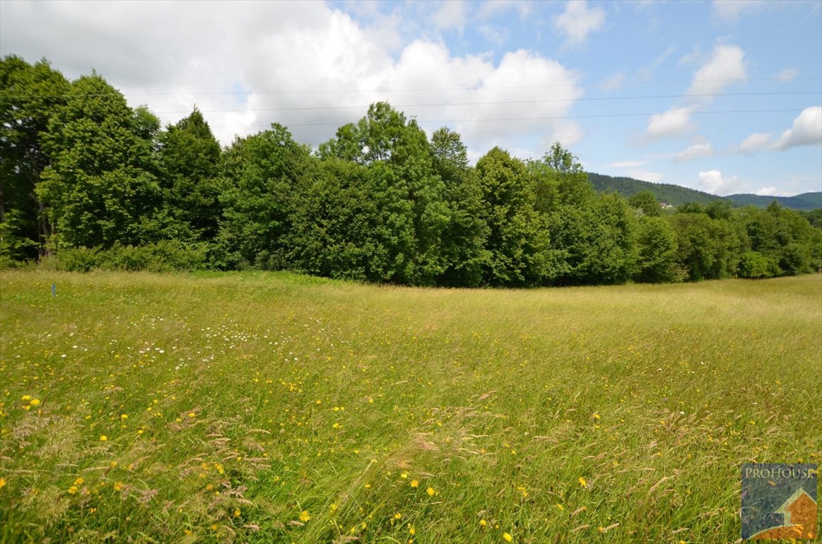 Działka pod zabudowę w Pisarzowej, 1504 m2, bez planu Pisarzowa  1 504m2 Foto 1