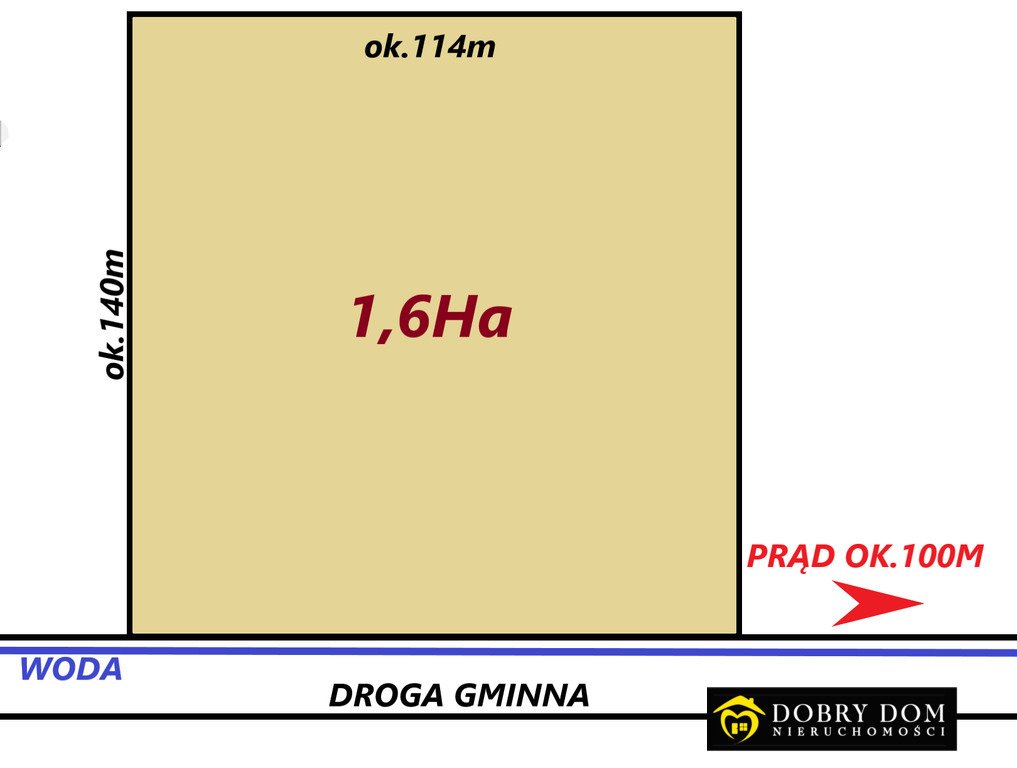 Przestronna działka 15 969 m² pod zabudowę i inwestycje Siemiony  15 969m2 Foto 1