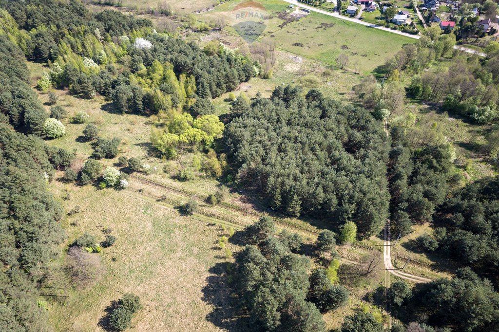 Działka leśna z prawem budowy na sprzedaż Skrzeszew, Olszankowa  23 411m2 Foto 5