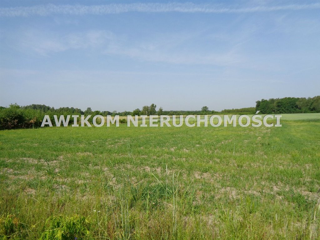 Atrakcyjna działka 36 730 m² pod zabudowę w Żabiej Woli Jastrzębnik  36 730m2 Foto 1