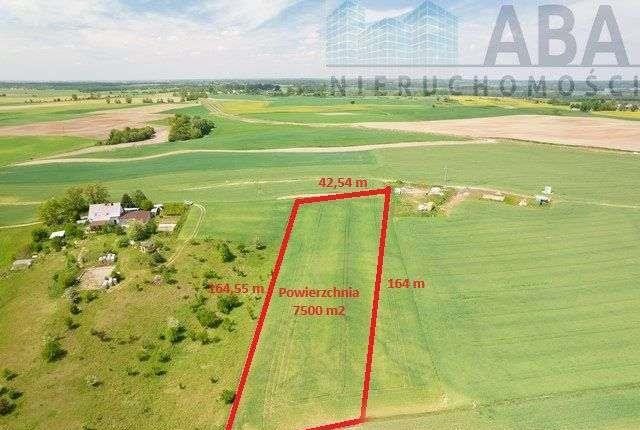 Działka budowlana na sprzedaż Powidz, Widokowa  7 500m2 Foto 4