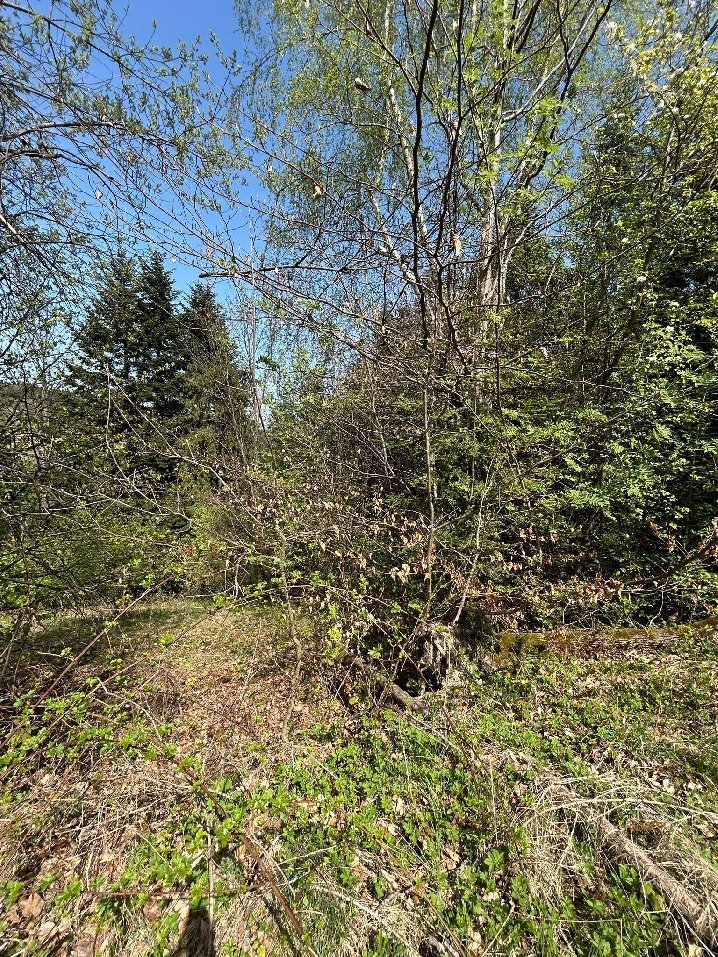 Działka budowlana 873 m² z dostępem do dróg asfaltowych Wadowice  873m2 Foto 1