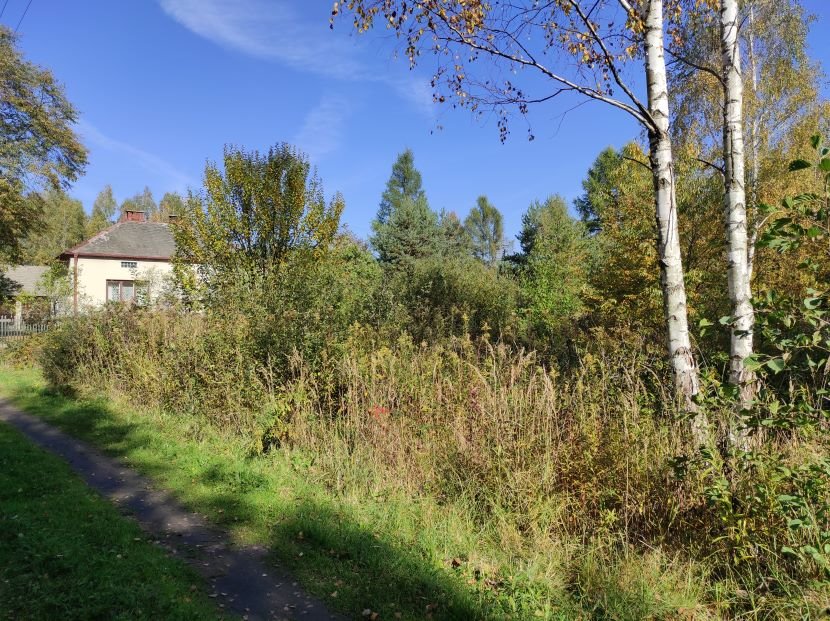 Do sprzedania dom z działką pod inwestycję w Nowej Dębie Nowa Dęba, Poręby Dębskie  85m2 Foto 1