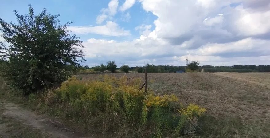 Działka 1000 m² w Rosanowie – kwadrat, prywatność i las Rosanów  1 000m2 Foto 1