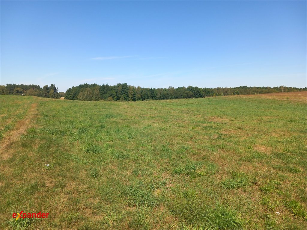 Działka 3200 m² z widokiem na las i pola w Rojewie Rojewo  3 200m2 Foto 1