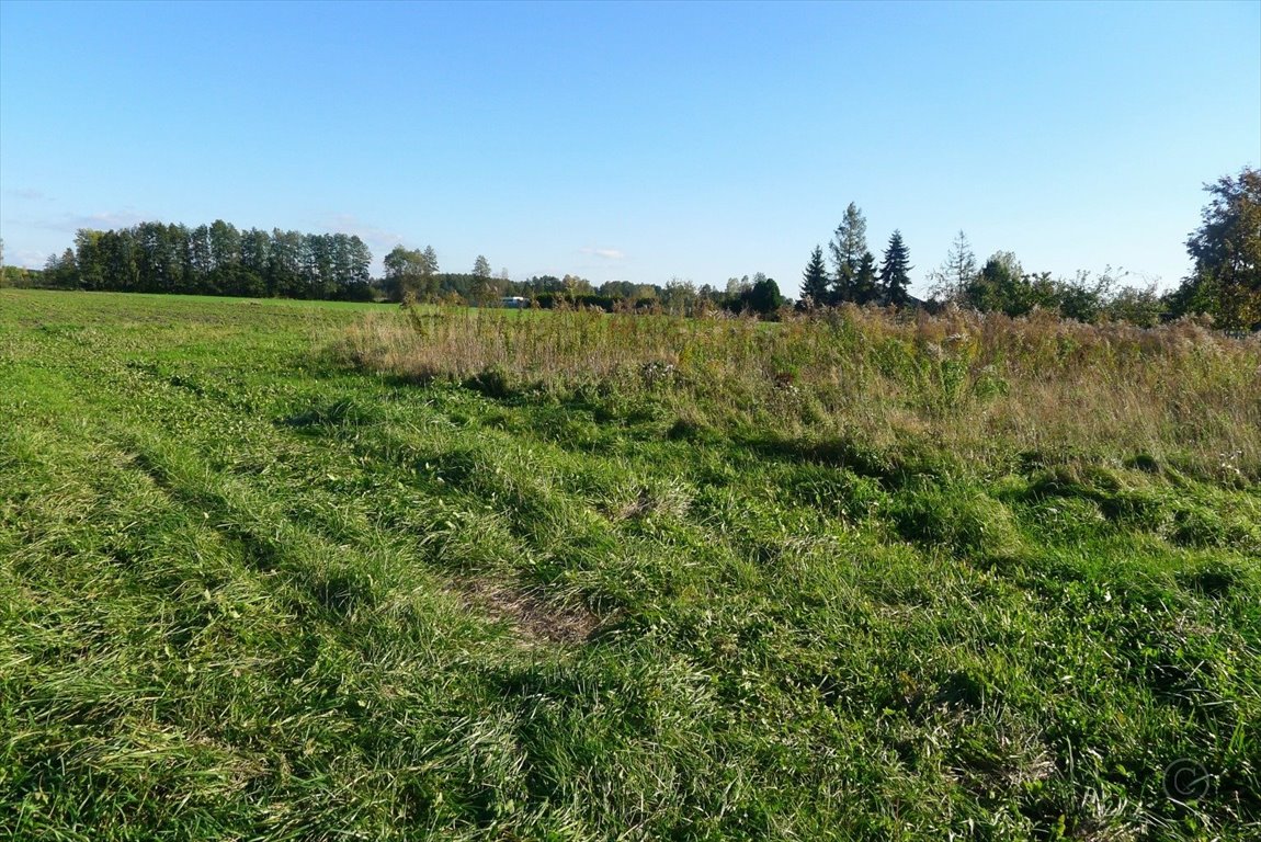 Działka inna na sprzedaż Cedrowice  1 000m2 Foto 1