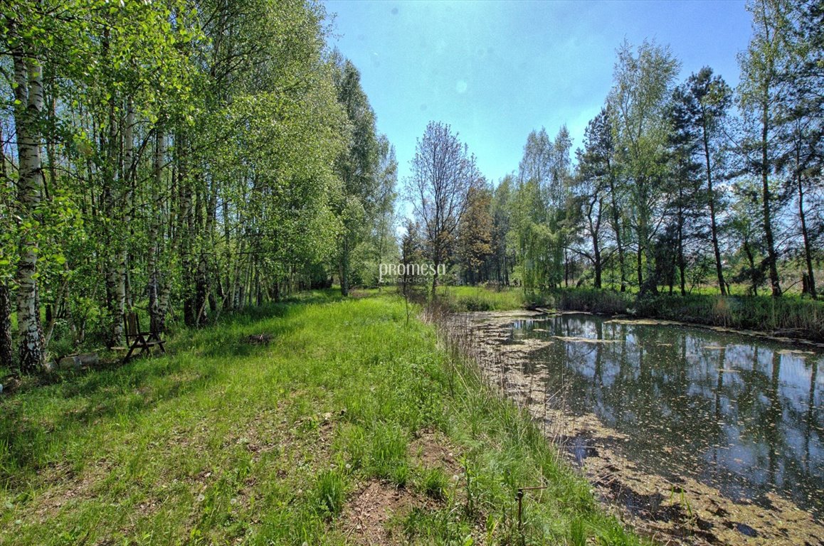 Działka inna na sprzedaż Śliwice, Aleja Dębowa  250m2 Foto 6