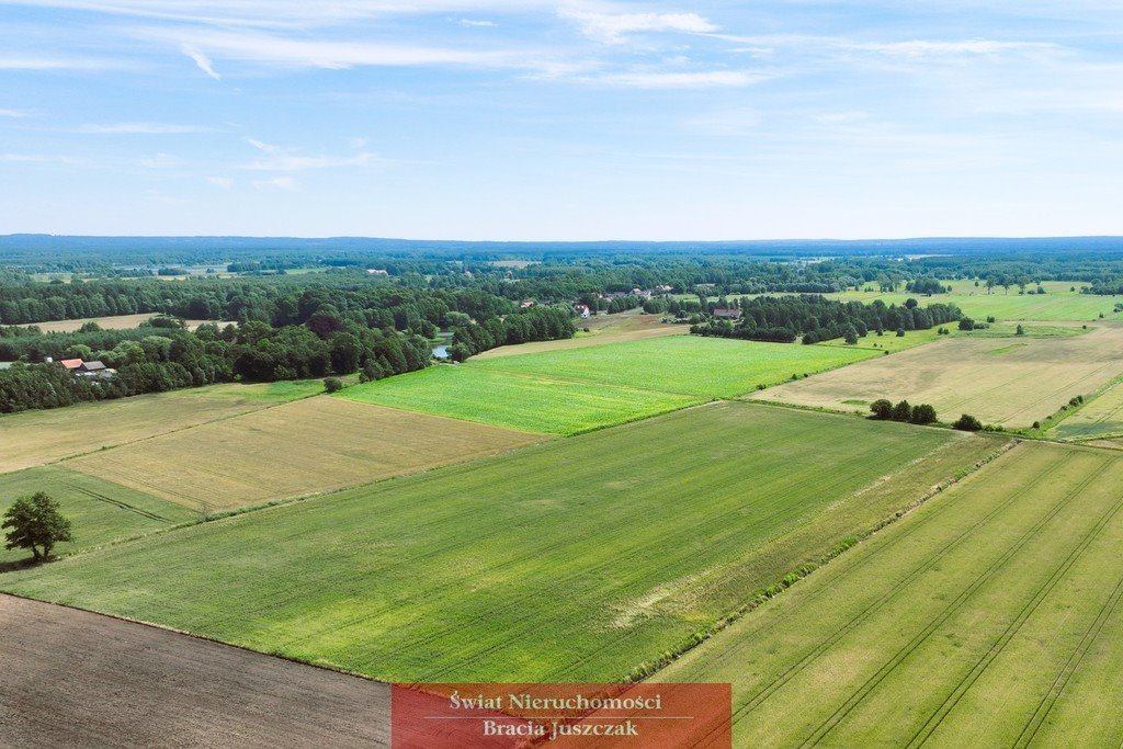 Działka rolna na sprzedaż Masłowiec  13 800m2 Foto 3