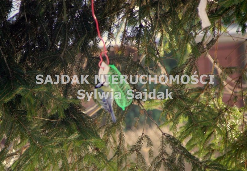 Polecam działkę 1100 m² z mediami w spokojnej okolicy Nienaszów  1 100m2 Foto 1