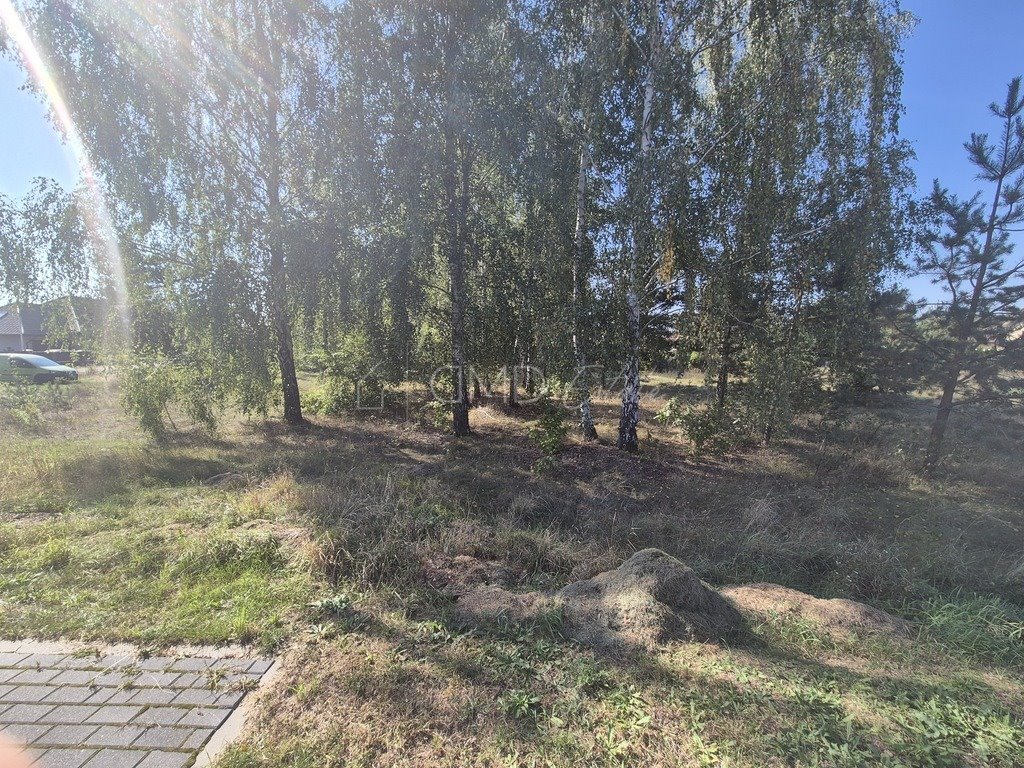 Działka inna na sprzedaż Ostrów Mazowiecka, Bielska  2 000m2 Foto 2