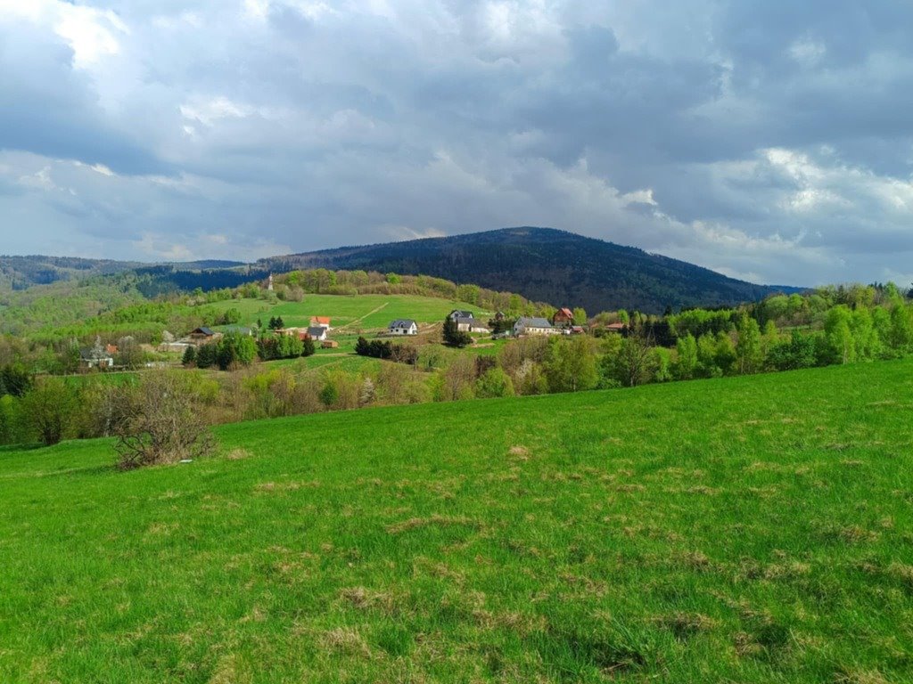 Działka inna na sprzedaż Walim  1 200m2 Foto 1