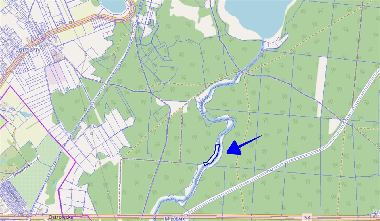 Działka rolna 1,37 ha z linią brzegową Wałpuszy Płozy  13 700m2 Foto 1