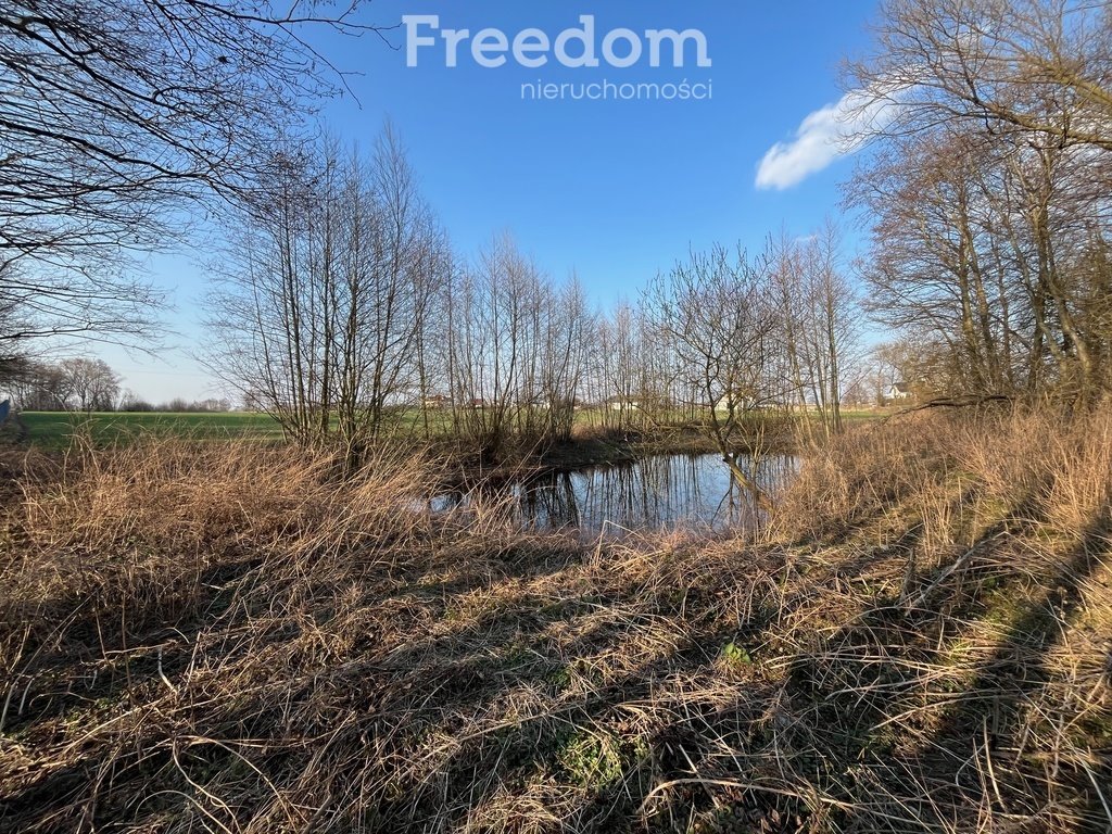 Działka budowlana na sprzedaż Grębocin, Rogowska  3 477m2 Foto 1