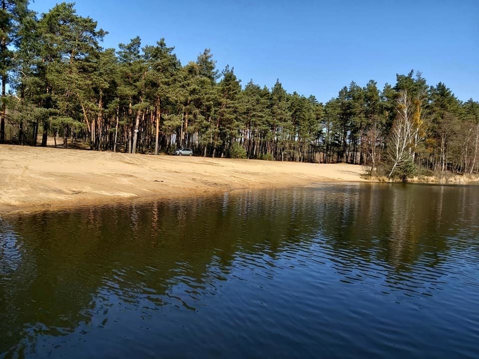 Działka leśna z prawem budowy na sprzedaż Byszyno  190 000m2 Foto 2