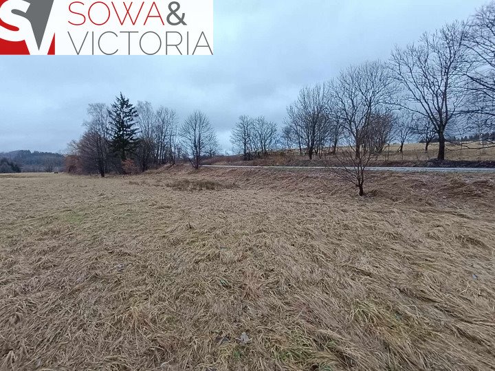 Działka komercyjna na sprzedaż Boguszów-Gorce, Gorce  12 840m2 Foto 5