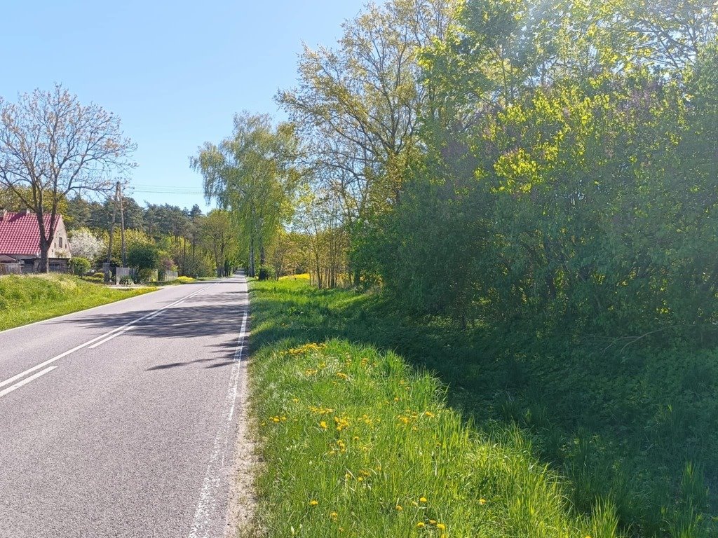 Działka 9,56 ha z możliwością zabudowy i rozwoju Dobrzyń  95 669m2 Foto 1