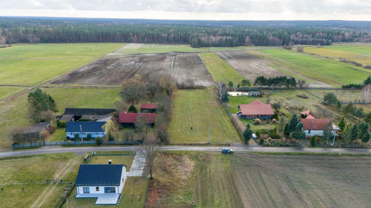 Działka budowlana na sprzedaż Dąbrowa  2 620m2 Foto 3