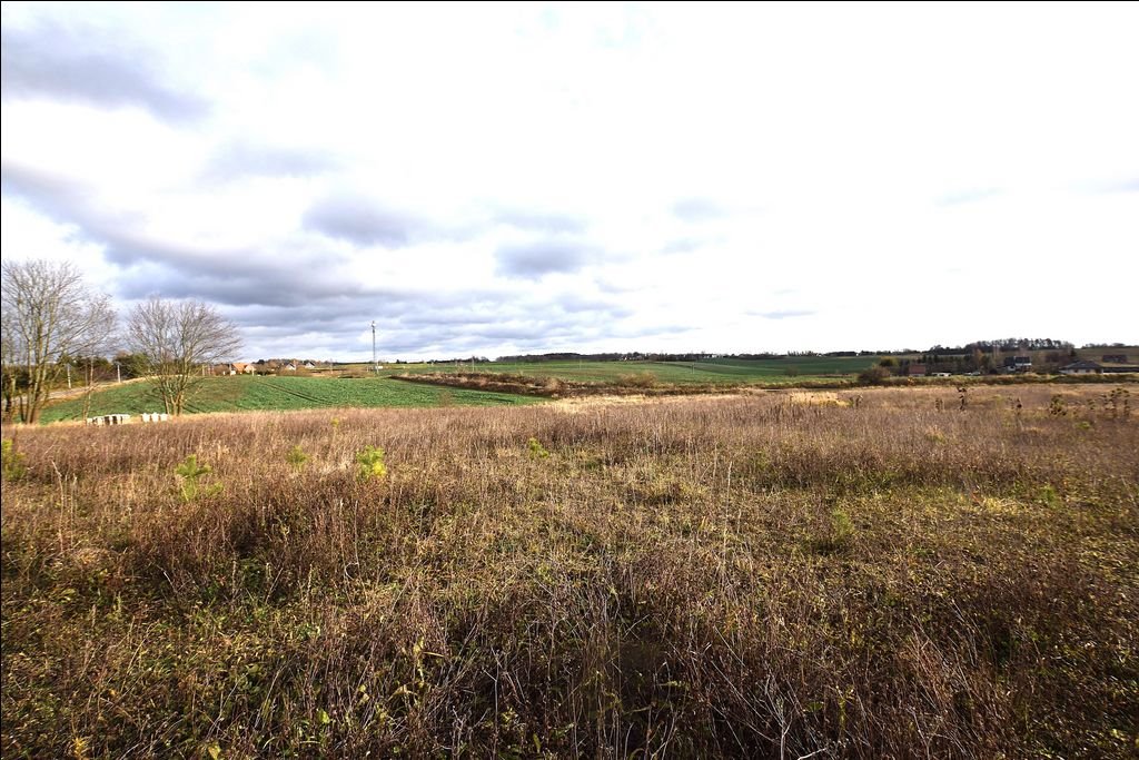 Działka budowlana na sprzedaż Klebark Mały, Klebark Mały  4 293m2 Foto 6