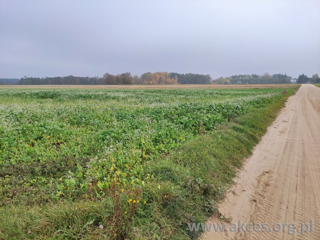 Działka rekreacyjna na sprzedaż Szumlin  3 000m2 Foto 1