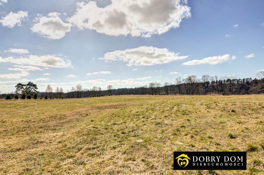 Działka budowlana na sprzedaż Garbas Drugi  23 000m2 Foto 17