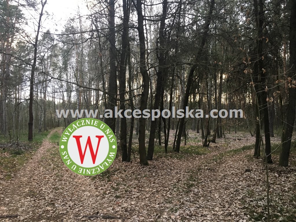 Działka inna na sprzedaż Zieleniec, Józefów  11 800m2 Foto 20