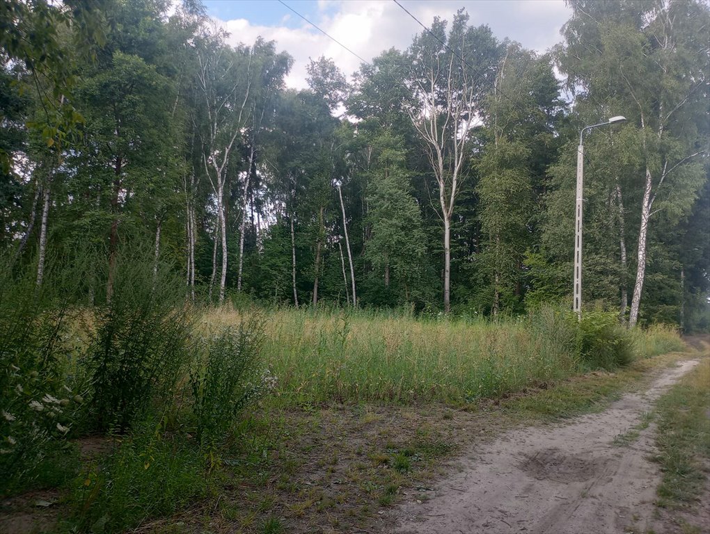 Działka budowlana na sprzedaż Królewskie Brzeziny  700m2 Foto 1