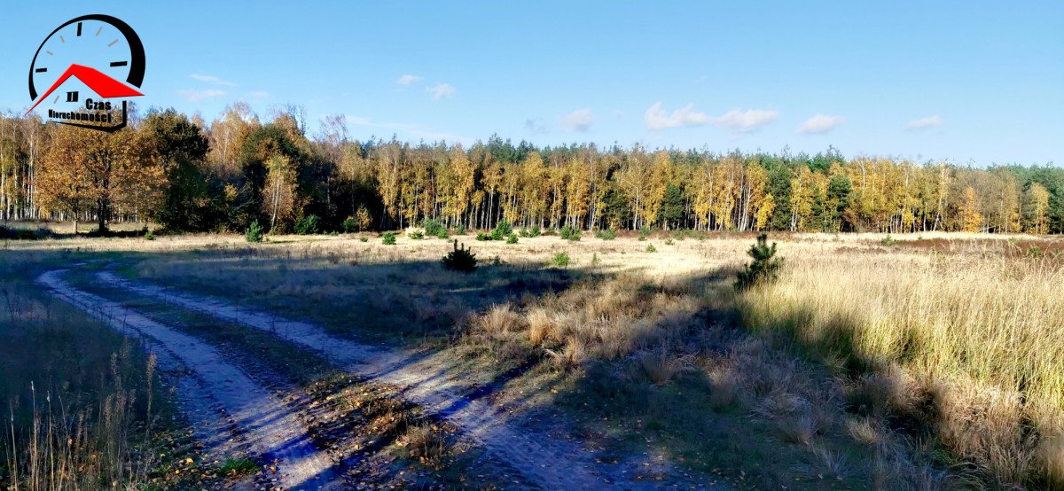 Działka gospodarstwo rolne na sprzedaż Gołąbki  138 960m2 Foto 10