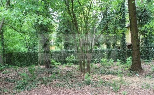 Działka 2313 m² z mediami, ogrodzona, blisko WKD Podkowa Leśna  2 313m2 Foto 1