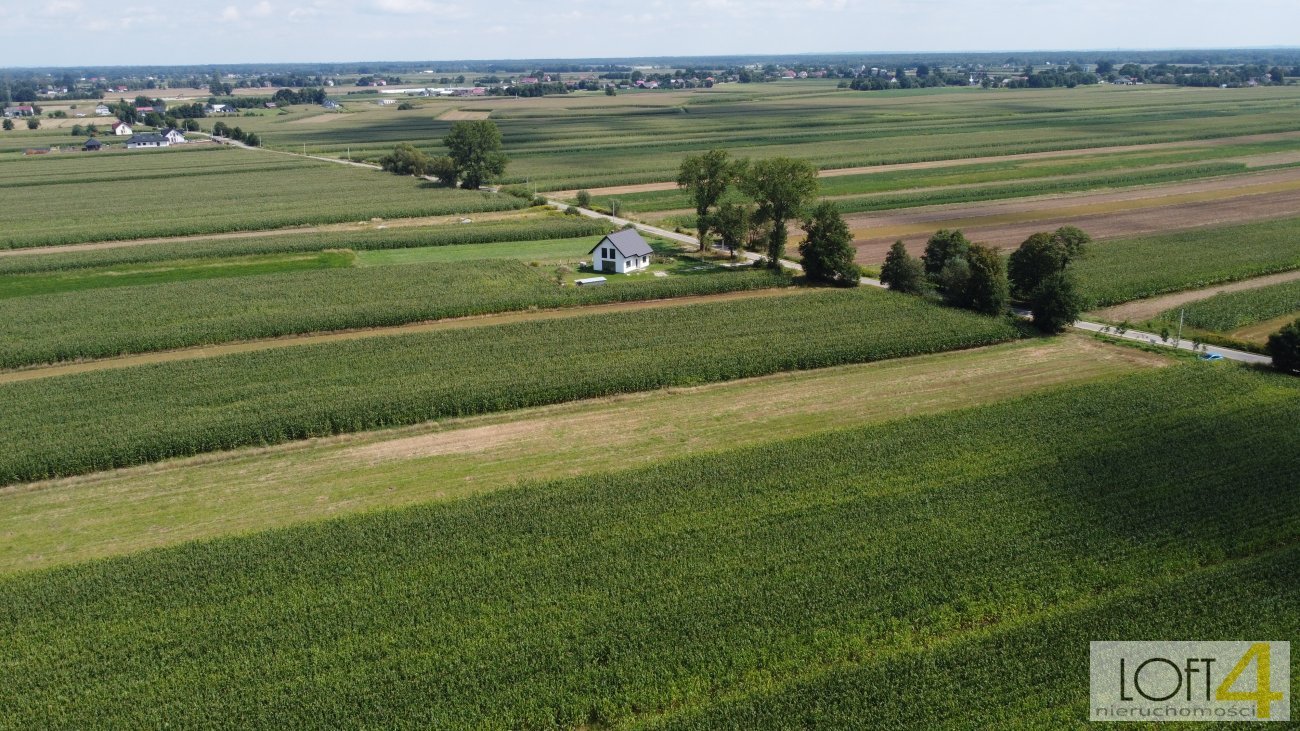 Działka budowlana na sprzedaż Borzęcin  4 400m2 Foto 5