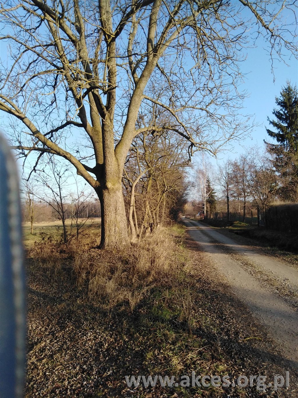 Działka budowlana na sprzedaż Barcice Drwalewskie  1 000m2 Foto 1
