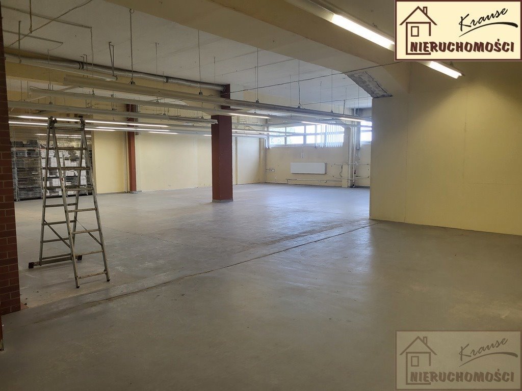 Lokal użytkowy na wynajem Poznań, Grunwald  350m2 Foto 1