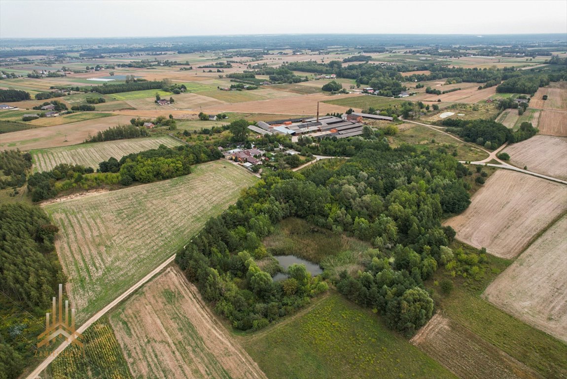 Działka inwestycyjna na sprzedaż Konstantynów  95 000m2 Foto 1