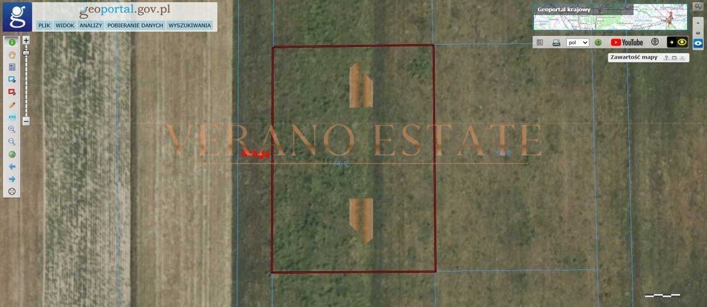 Działka rolna na sprzedaż Adamów Drwalewski  3 000m2 Foto 1