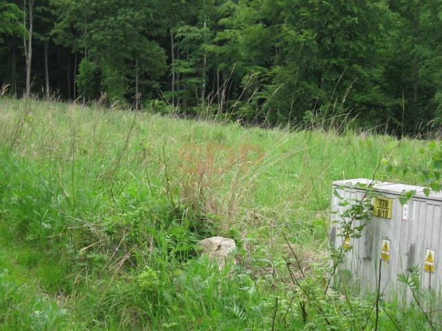 Działka budowlana na sprzedaż Kuropatnik, Letniskowa  3 350m2 Foto 3