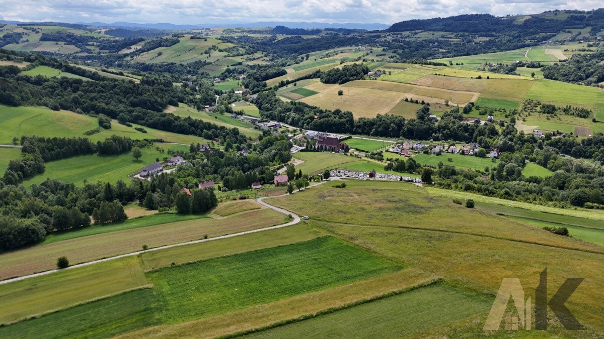 Działka budowlana na sprzedaż Sienna  3 100m2 Foto 7