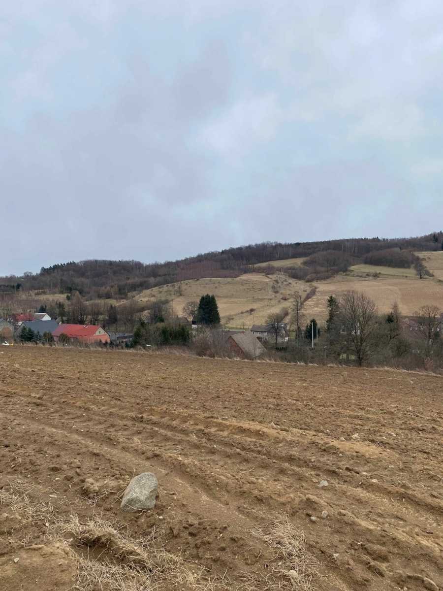 Działka inna na sprzedaż Złoty Stok  1 218m2 Foto 7