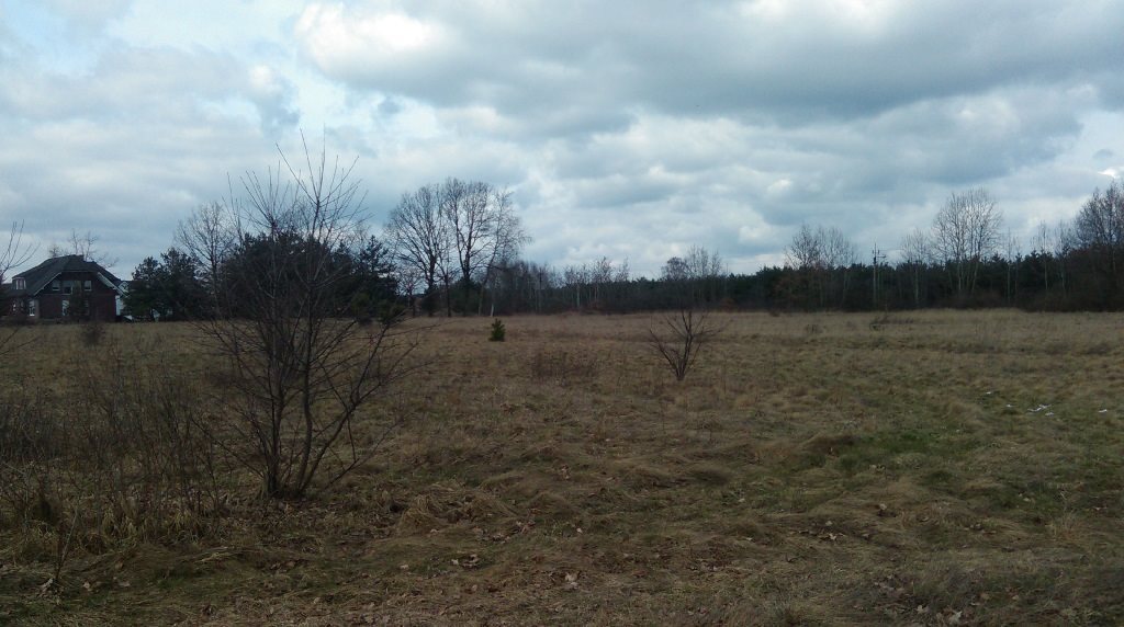 Działka inwestycyjna na sprzedaż Dobrzeń Wielki 12 339m2 Foto 1 Działka inwestycyjna na sprzedaż Dobrzeń Wielki 12 339m2 Foto 1