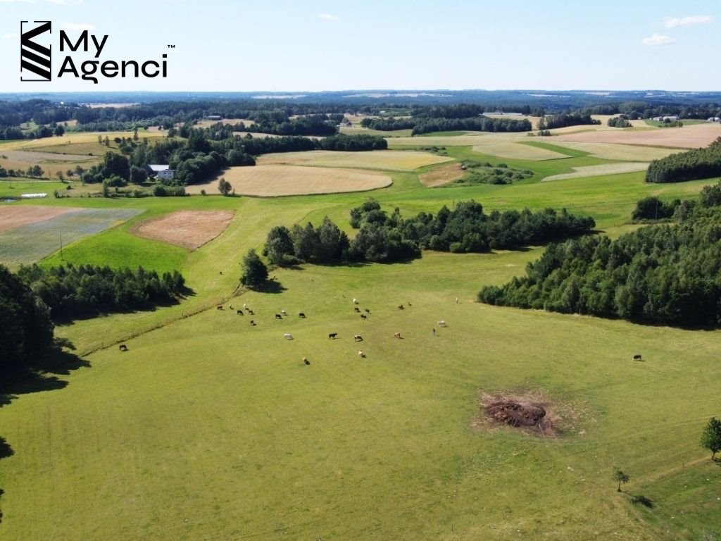 Działka budowlana na sprzedaż Łebno, Kartuska  1 050m2 Foto 7