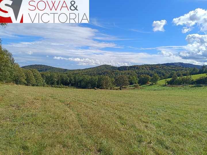 Działka 3000 m² z widokami i dostępem do prądu Michałkowa  3 000m2 Foto 1