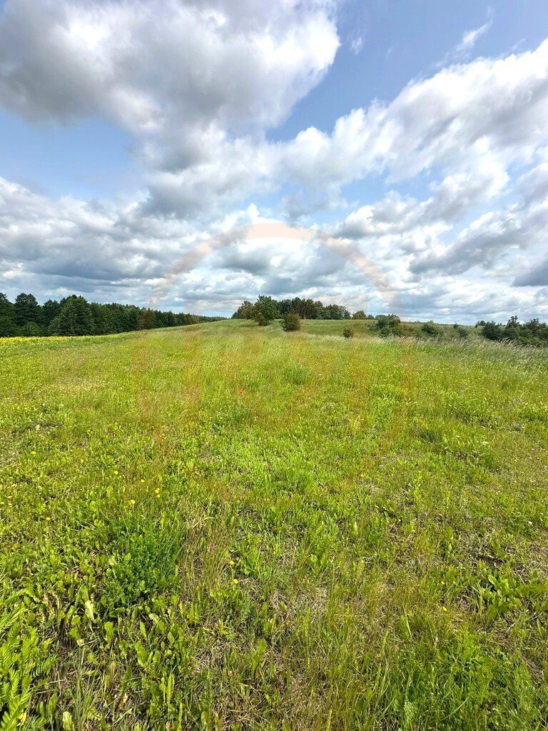 Działka rolna 5,6 ha z widokami, inwestycja lub rekreacja Oracze  56 303m2 Foto 1