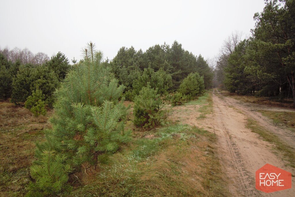 Działka budowlana na sprzedaż Kuźniczka  2 881m2 Foto 4