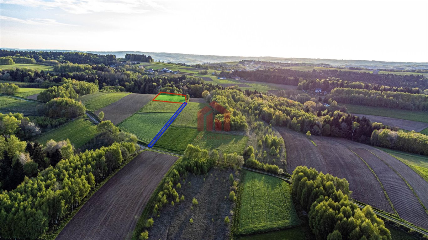 Działka rekreacyjna na sprzedaż Szkodna  4 000m2 Foto 6