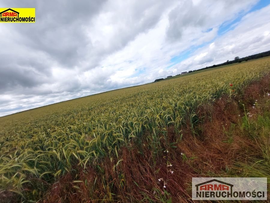 Działka inna na sprzedaż Bielkowo  32 900m2 Foto 6