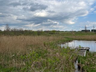 Działka rolna na sprzedaż Pajtuny  4 000m2 Foto 2