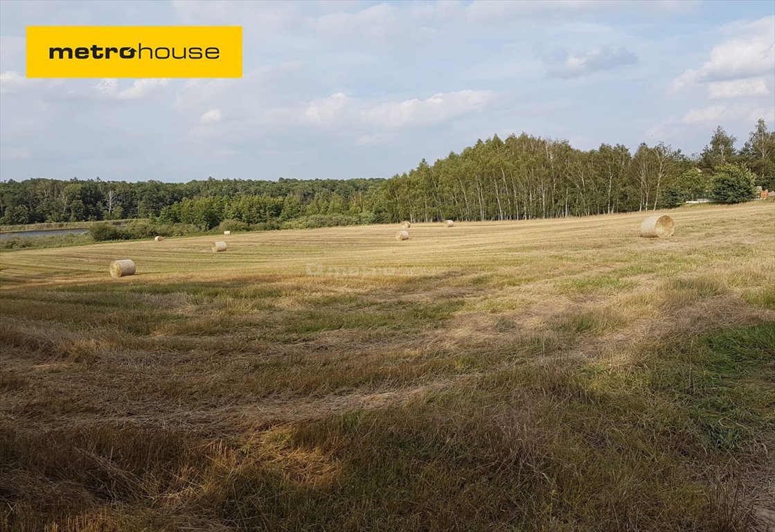 Działka inna na sprzedaż Wielka Wieś, Bukowska  19 079m2 Foto 1