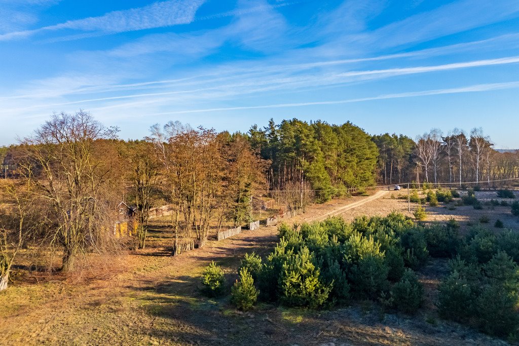 Działka siedliskowa na sprzedaż Borki  101 600m2 Foto 18